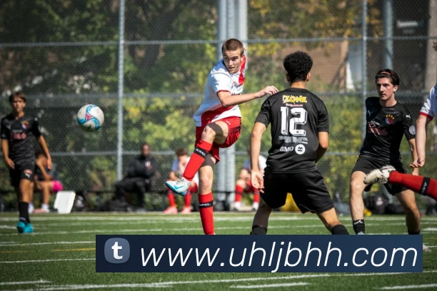 App 展示图